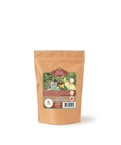 Utopie Eggfur avec fraise