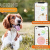 Weenect weect tracker chien blanc