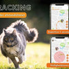 Weenect weect tracker chat noir