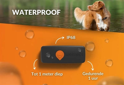Weenect weect tracker chien noir