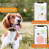 Weenect weect tracker chien noir