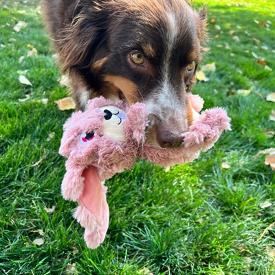 Kong Scrumplez Bunny peluche avec bip rose