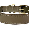 Chien de col sazzz braveheart en cuir taupe