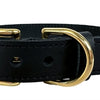 Chien de collier sazzz braveheart en cuir noir