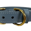 Chien de collier sazzz courageux en cuir bleu clair