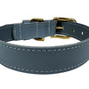 Chien de collier sazzz courageux en cuir bleu clair