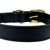 Chien de collier sazzz braveheart en cuir noir