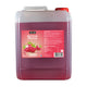 Sirop de limonade aux fruits Sun d'or framboise (5 litres)