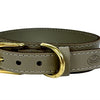 Chien de collier sazzz pionnier en cuir taupe