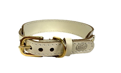 Chiens de collier sazzz ma chérie apprend crème