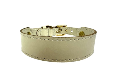 Chiens de collier sazzz ma chérie apprend crème