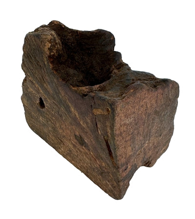 Chog Woodzzz mâcher la racine avec de l'huile d'olive