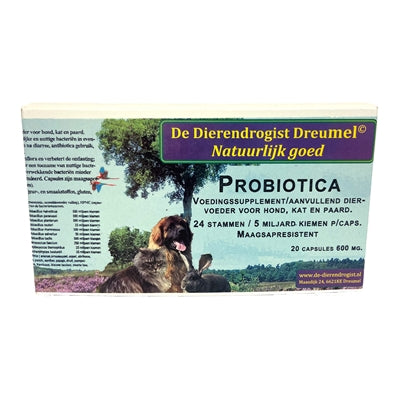 Capsules de probiotiques drogistes animaux