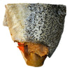 La peau de saumon fumed Freds