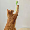 Martin Cat Toys Jason Recycled Assorti