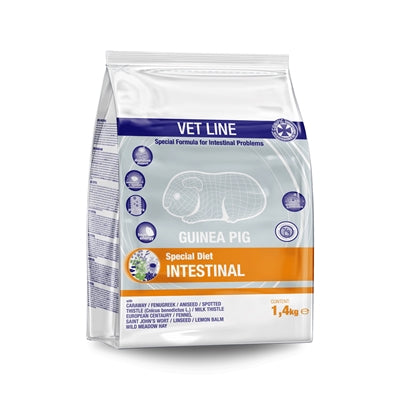 Intestins intestinaux cavia cavia cavia cavia cavia cunipe