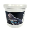 Hareco Parrot Sélectionner avec Pellets