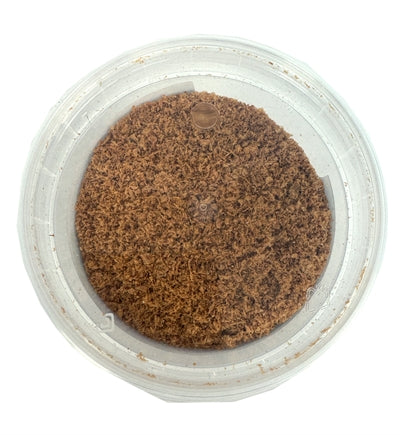 Drogiste animal Krill