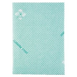 Balai classique 70x50cm vert