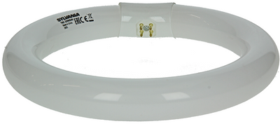 Sylvania 1044510 - lampe fluorescente circlin 22w blanc froid 840 | 3 pièces