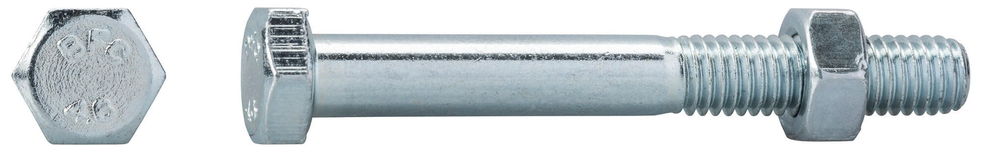 DOSHELHAUS 6-CT. Doids de noix d'arbre. 12x120