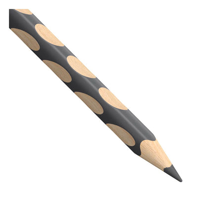 Crayon de couleur Stabilo easycolors pour gaucher - gris