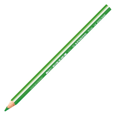 Crayons de couleur ergonomiques épais Stabilo trio - 18 pcs.