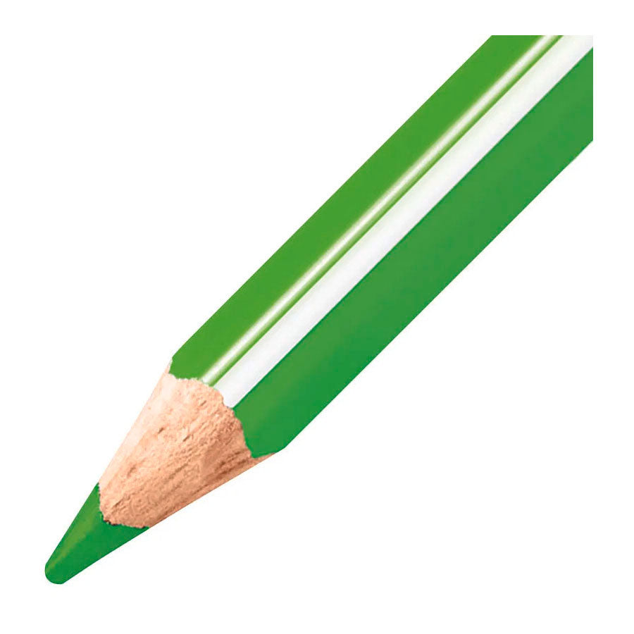 Crayons de couleur ergonomiques épais Stabilo trio - 18 pcs.
