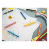 Crayons de couleur ergonomiques courts et épais Stabilo trio - 12 pcs.