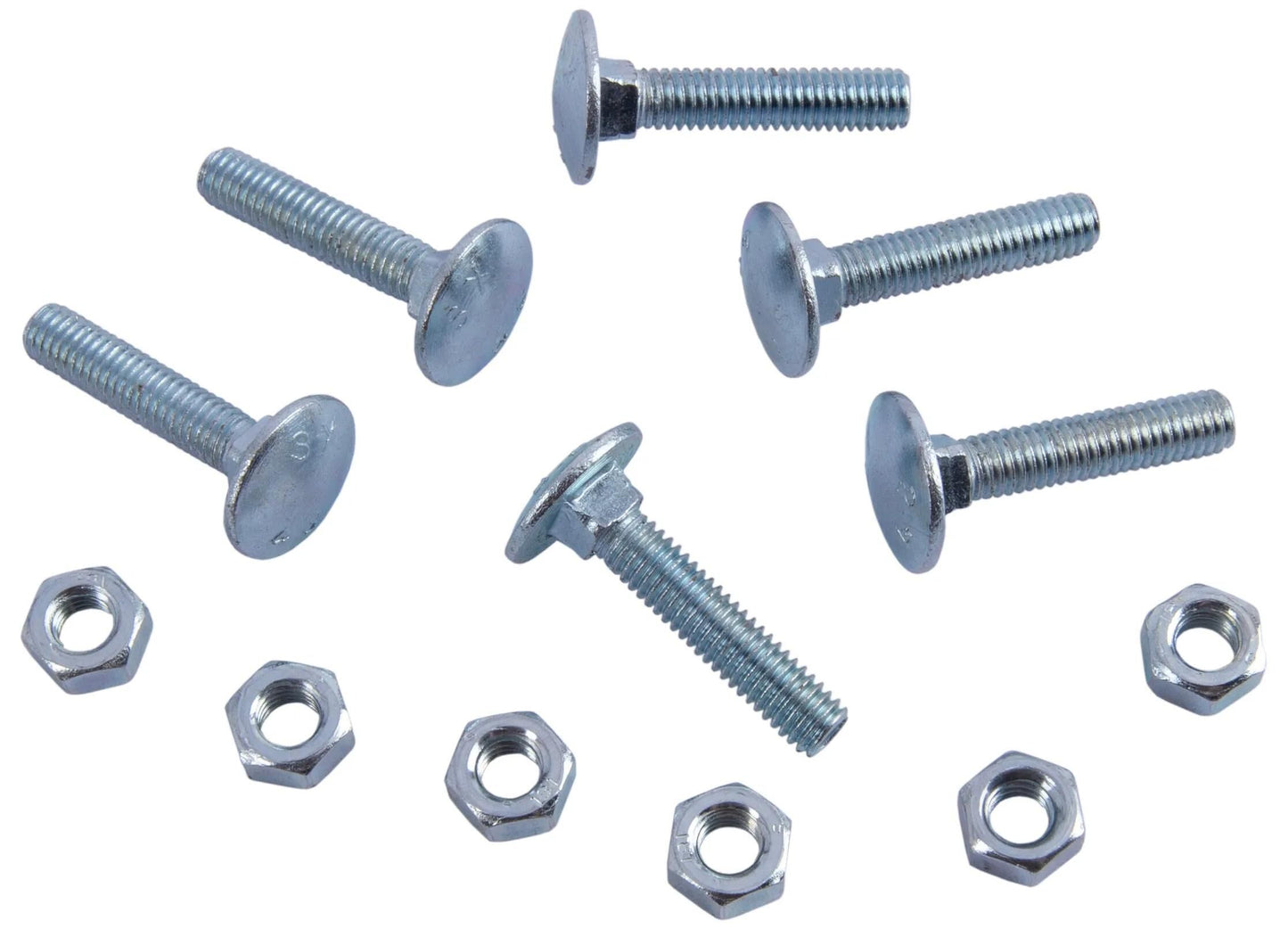 Boulon de taux de tir de robelhaus m6x30 cou carré w.nuts