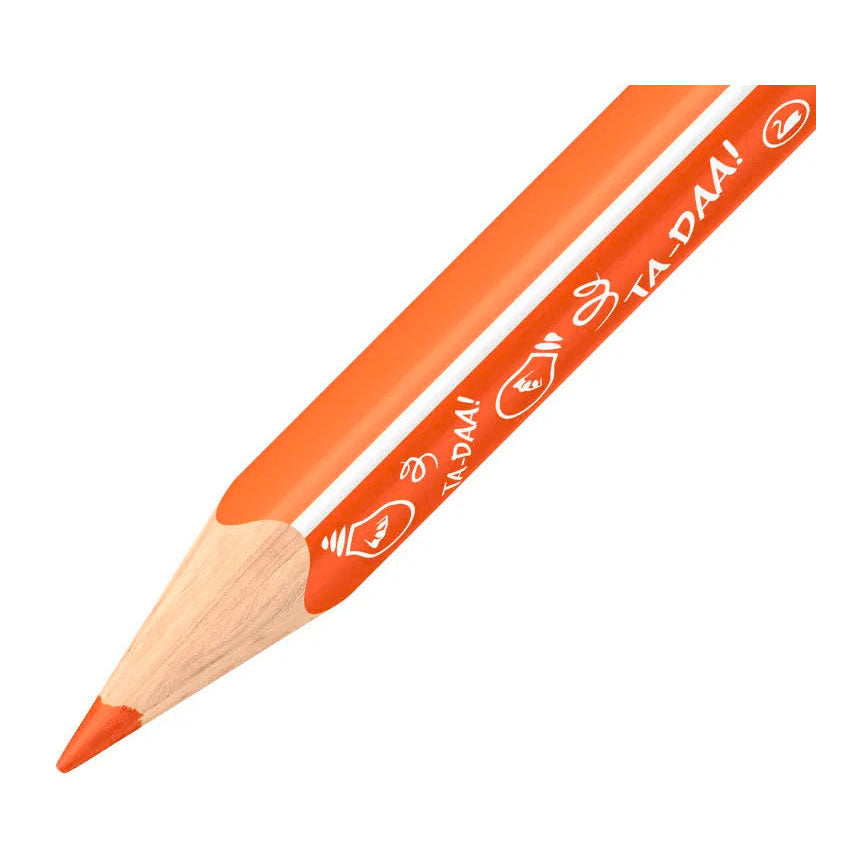 Stabilo trio épais - crayons de couleur triangulaires à noyau extra épais - ambiance animale - étui de 12 couleurs