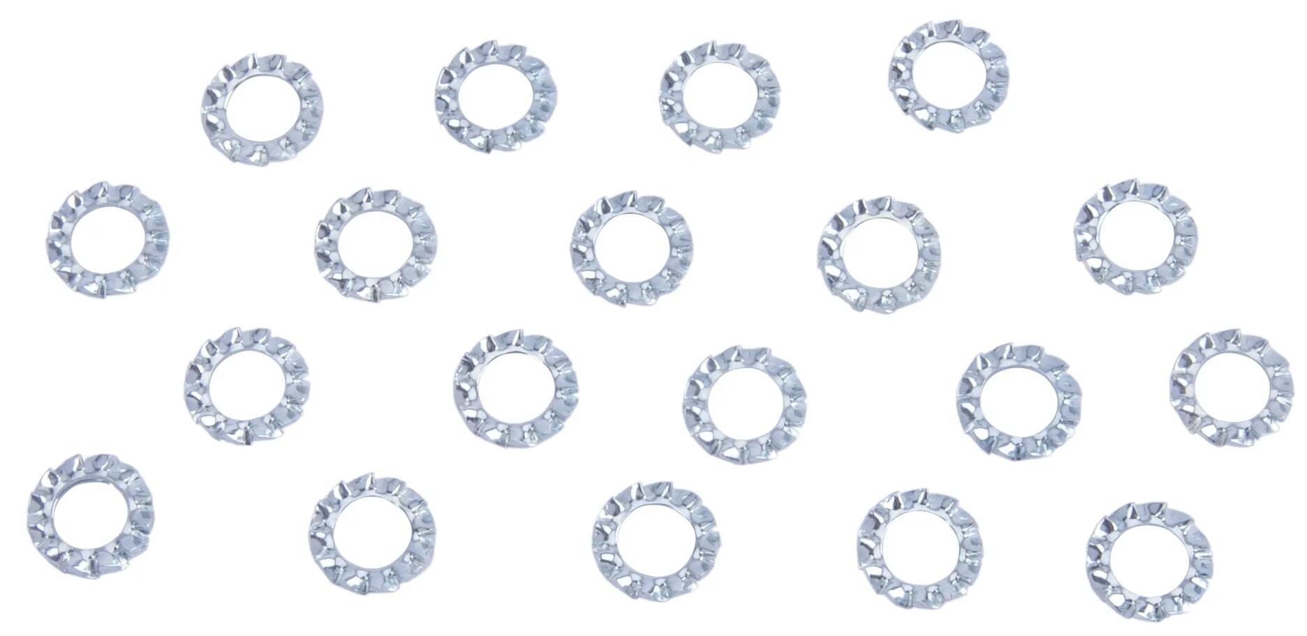 Les disques des ventilateurs de Dresselhaus forment un DIN 6798, d = 6 mm, 20 pcs.