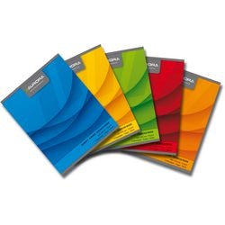 Cahier d'exercices aurora 136l1l a5 ligné gris