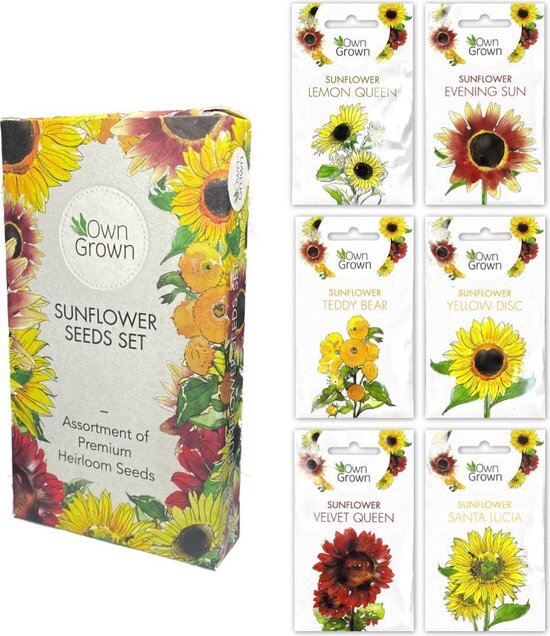 Ownergrown Owngrown Sunflowing Seeds définit 6 différents types de tournesols pour à l'intérieur, le jardin et le balcon emballage respectueux de l'environnement