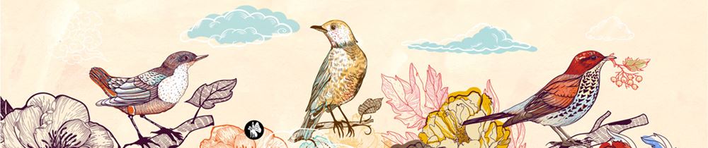 Musique de Rondo : oiseaux 02 (berceuse de Mozart)