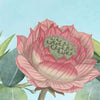 Musique Rondo52 : fleurs 02 (vivaldi).
