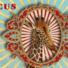 Musique Rondo59 : cirque (panthère rose).