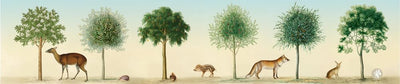 Musique Rondo : arbres 03 (soufflant dans la victoire