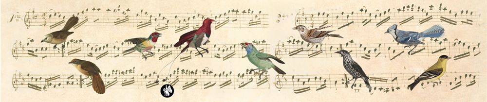 Rondo77 music: notes (ave maria).