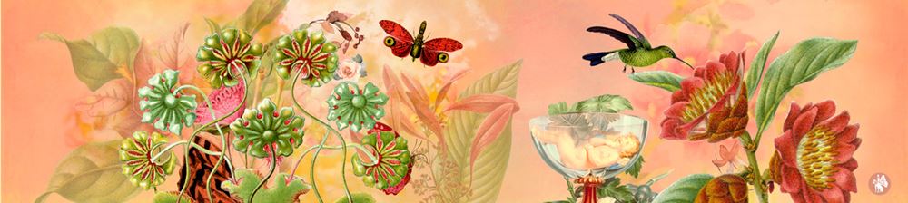 Musique Brilly023 : jours heureux. heureux que