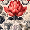 Musique Brilly027 : lotus. (roméo juillet
