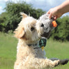 Happy Pet Migrator en peluche canard sauvage