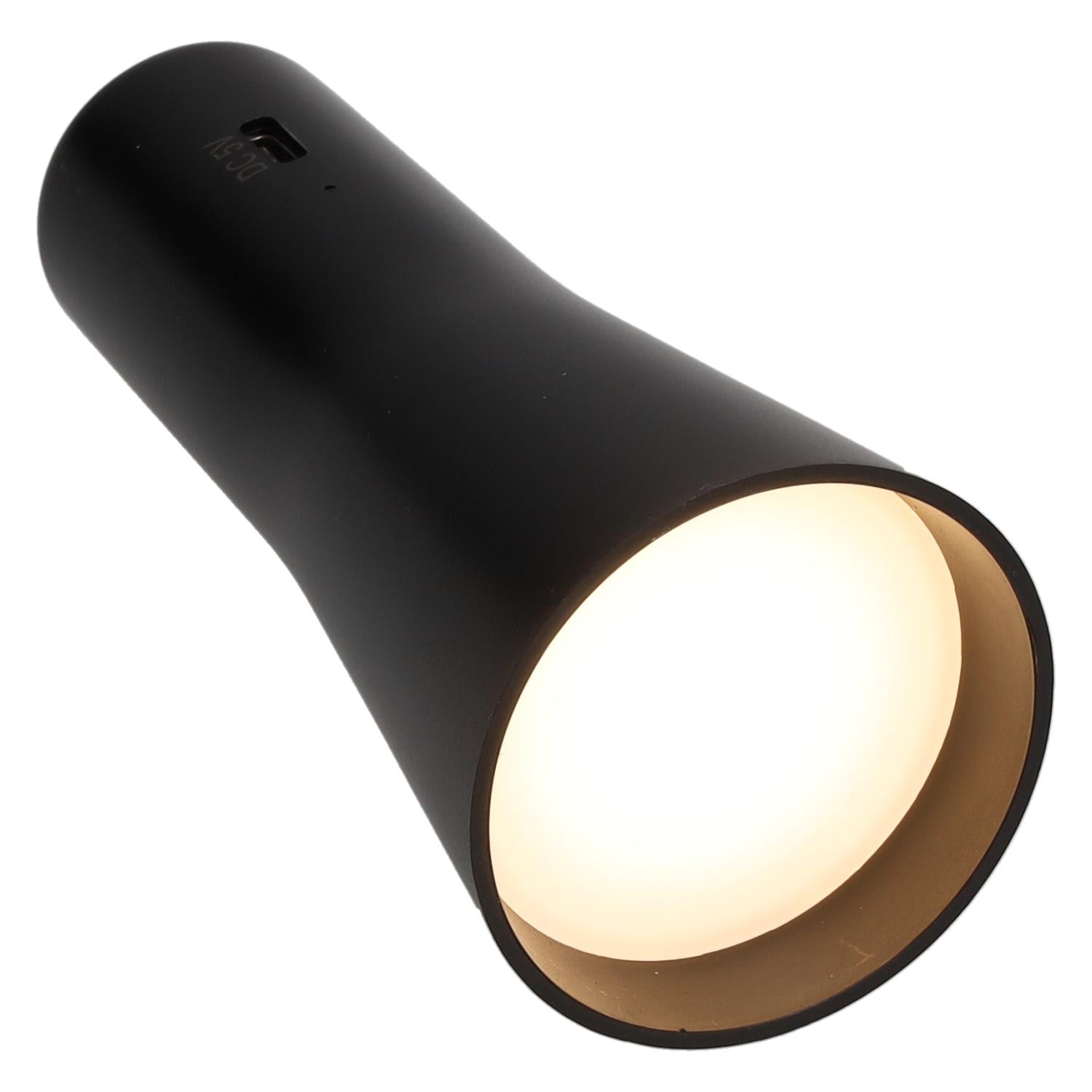 Lampe de camping magnétique à pivot Globetorch