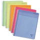 Carnet clairefontaine linicolor a4+