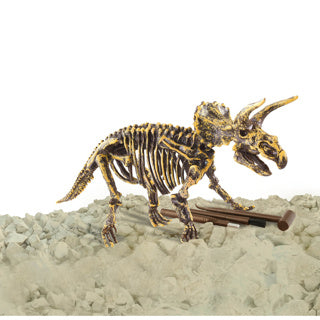 Dinobase Dinobase 3D Triceratops Squelette