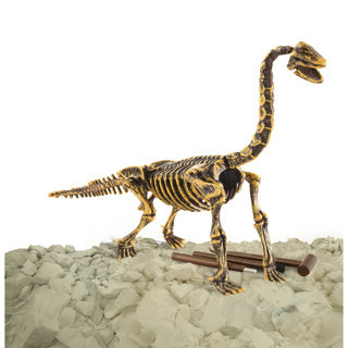 Dinobase Dinobase 3D Brachiosaurus Squelette