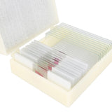 Konus set de préparation bactéries, organismes simples (10 pièces) - afbeelding 2