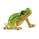 Schleich sauvage vie européenne grenouille arbre 14882