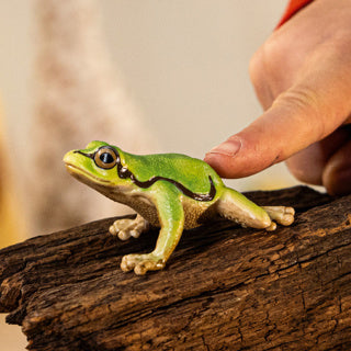 Schleich sauvage vie européenne grenouille arbre 14882