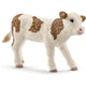 13802 veau Simmental